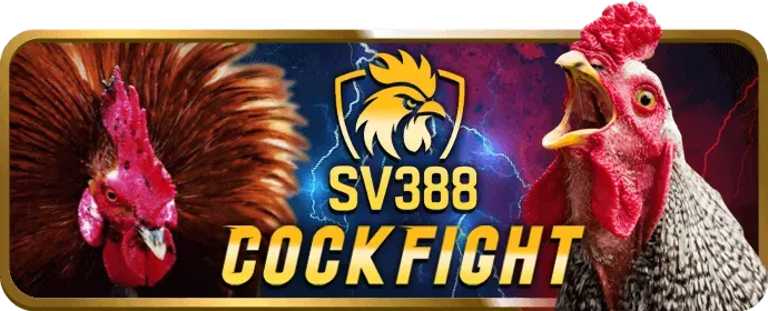 Người chơi đang lập kế hoạch chiến lược để tối đa hóa tiền thưởng 123win.